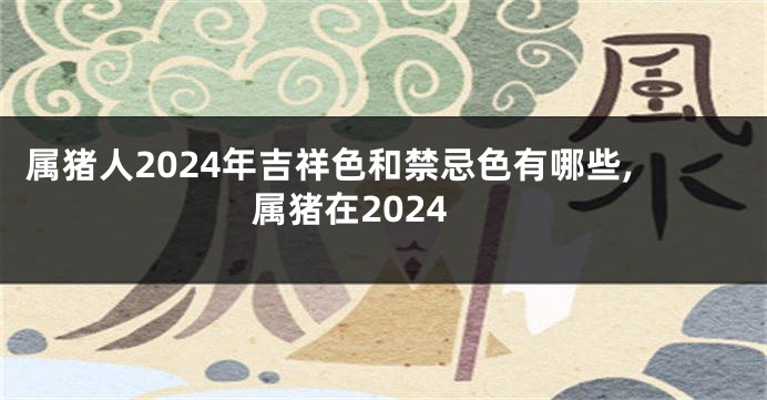 属猪人2024年吉祥色和禁忌色有哪些,属猪在2024