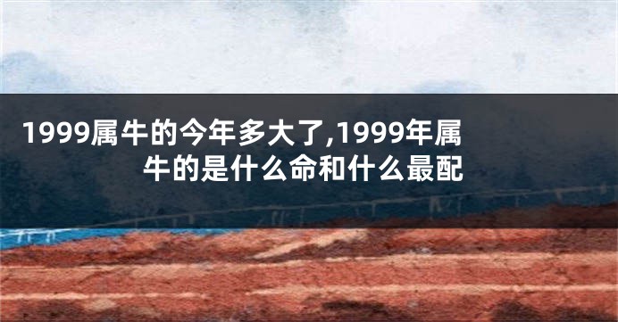1999属牛的今年多大了,1999年属牛的是什么命和什么最配