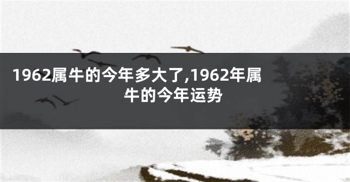 1962属牛的今年多大了,1962年属牛的今年运势
