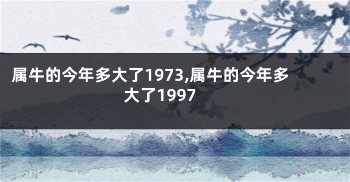 属牛的今年多大了1973,属牛的今年多大了1997