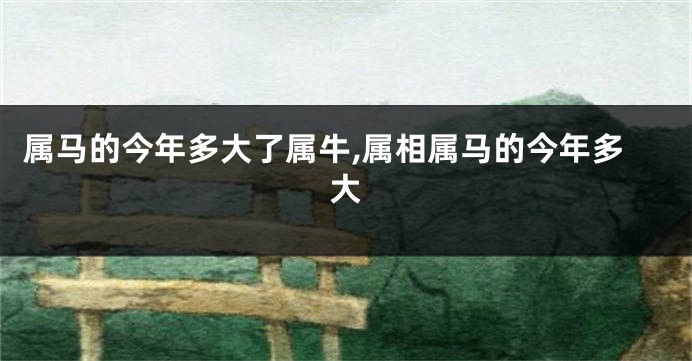 属马的今年多大了属牛,属相属马的今年多大