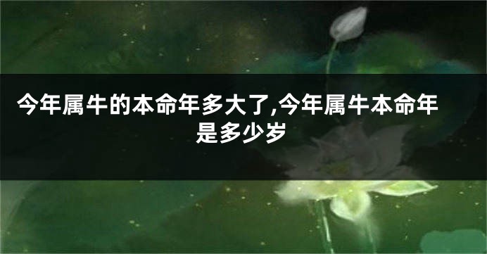 今年属牛的本命年多大了,今年属牛本命年是多少岁