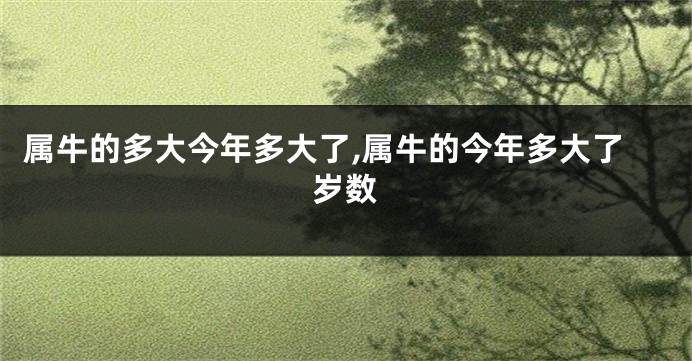 属牛的多大今年多大了,属牛的今年多大了岁数