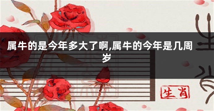 属牛的是今年多大了啊,属牛的今年是几周岁