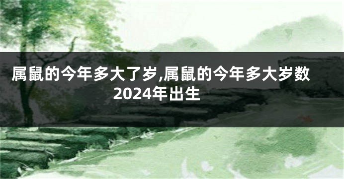 属鼠的今年多大了岁,属鼠的今年多大岁数2024年出生