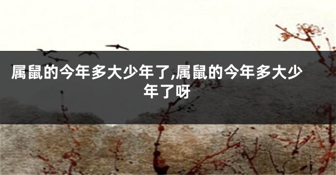 属鼠的今年多大少年了,属鼠的今年多大少年了呀
