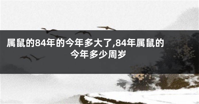 属鼠的84年的今年多大了,84年属鼠的今年多少周岁