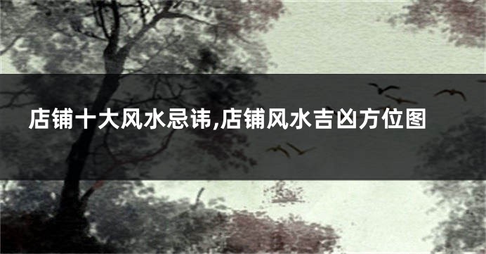 店铺十大风水忌讳,店铺风水吉凶方位图