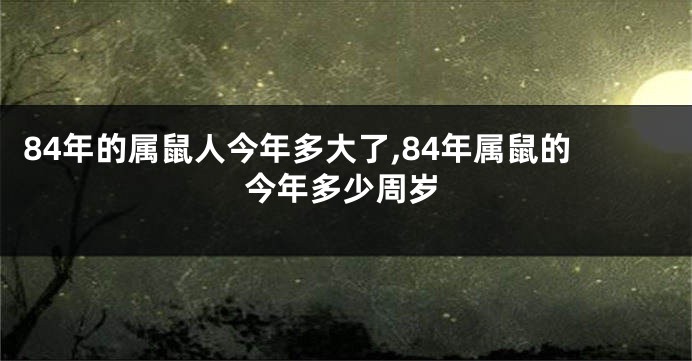 84年的属鼠人今年多大了,84年属鼠的今年多少周岁