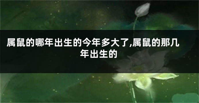 属鼠的哪年出生的今年多大了,属鼠的那几年出生的