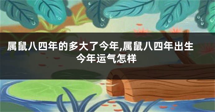 属鼠八四年的多大了今年,属鼠八四年出生今年运气怎样
