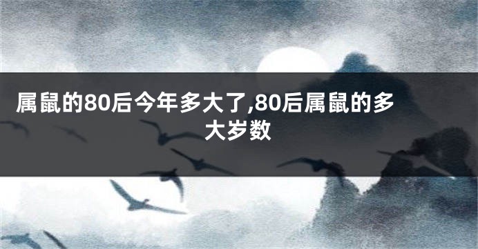 属鼠的80后今年多大了,80后属鼠的多大岁数
