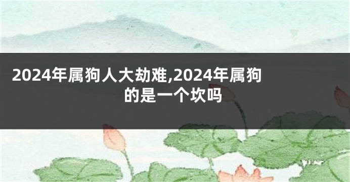 2024年属狗人大劫难,2024年属狗的是一个坎吗