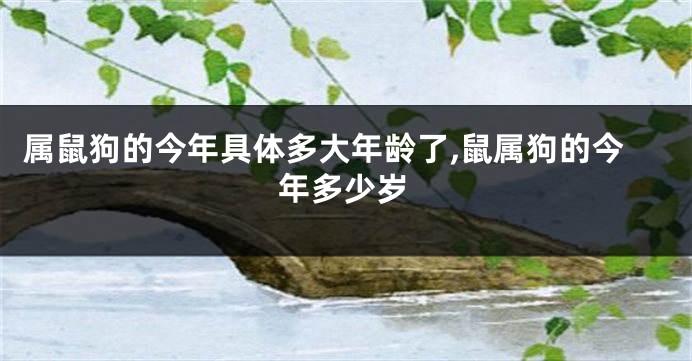 属鼠狗的今年具体多大年龄了,鼠属狗的今年多少岁
