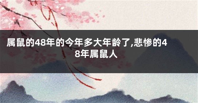 属鼠的48年的今年多大年龄了,悲惨的48年属鼠人