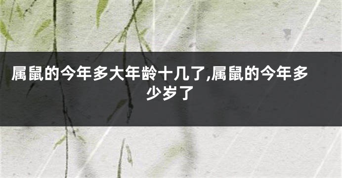 属鼠的今年多大年龄十几了,属鼠的今年多少岁了