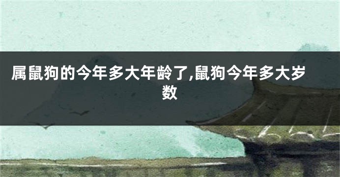 属鼠狗的今年多大年龄了,鼠狗今年多大岁数