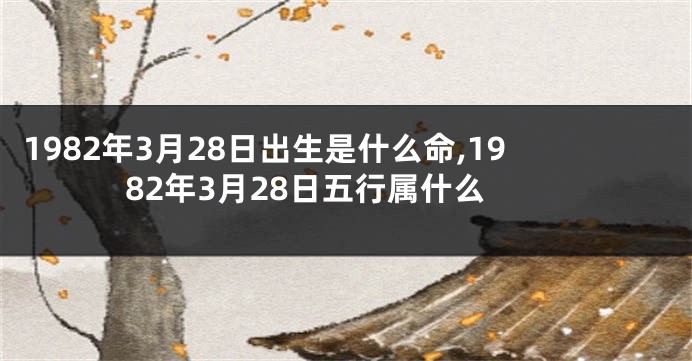 1982年3月28日出生是什么命,1982年3月28日五行属什么