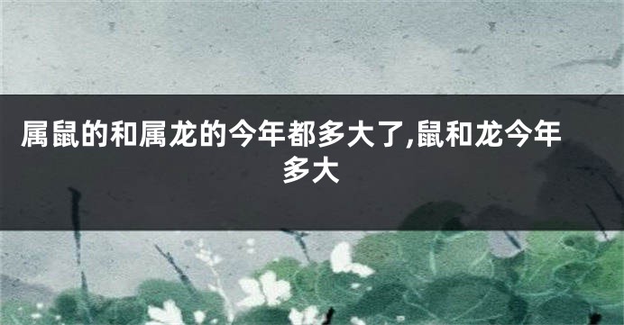 属鼠的和属龙的今年都多大了,鼠和龙今年多大