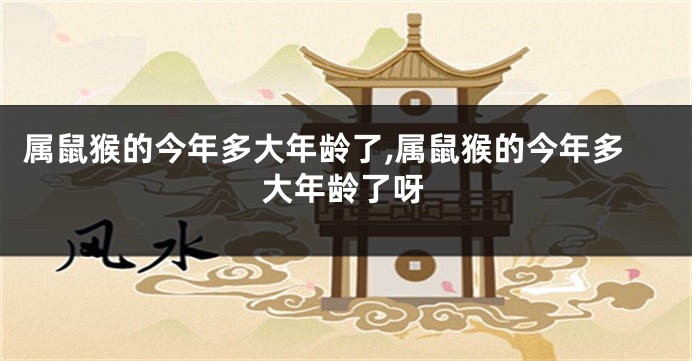 属鼠猴的今年多大年龄了,属鼠猴的今年多大年龄了呀