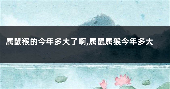 属鼠猴的今年多大了啊,属鼠属猴今年多大
