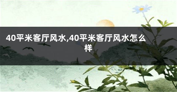 40平米客厅风水,40平米客厅风水怎么样