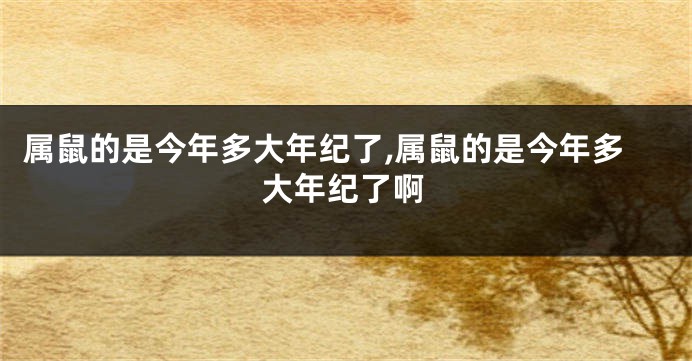属鼠的是今年多大年纪了,属鼠的是今年多大年纪了啊