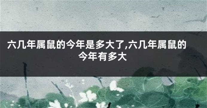六几年属鼠的今年是多大了,六几年属鼠的今年有多大