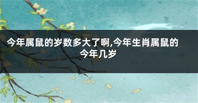 今年属鼠的岁数多大了啊,今年生肖属鼠的今年几岁