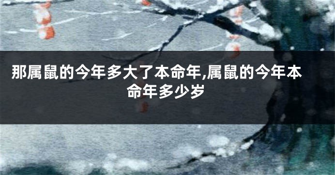 那属鼠的今年多大了本命年,属鼠的今年本命年多少岁