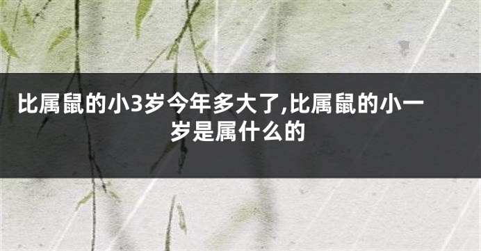 比属鼠的小3岁今年多大了,比属鼠的小一岁是属什么的