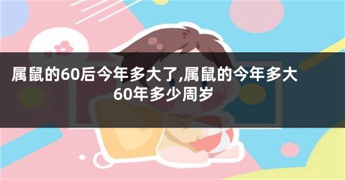 属鼠的60后今年多大了,属鼠的今年多大60年多少周岁