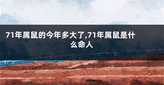 71年属鼠的今年多大了,71年属鼠是什么命人