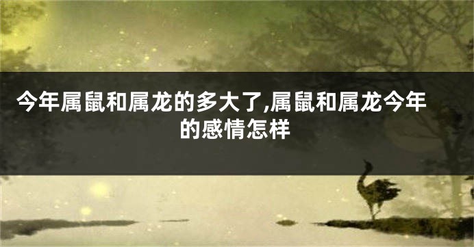 今年属鼠和属龙的多大了,属鼠和属龙今年的感情怎样