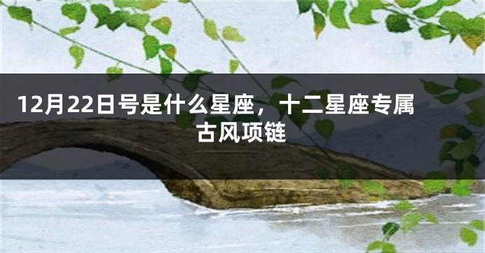 12月22日号是什么星座，十二星座专属古风项链