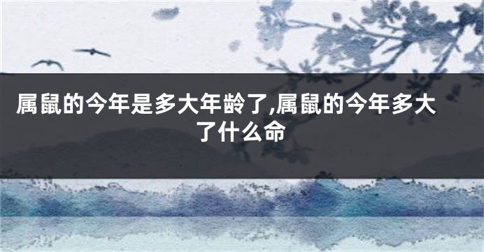 属鼠的今年是多大年龄了,属鼠的今年多大了什么命