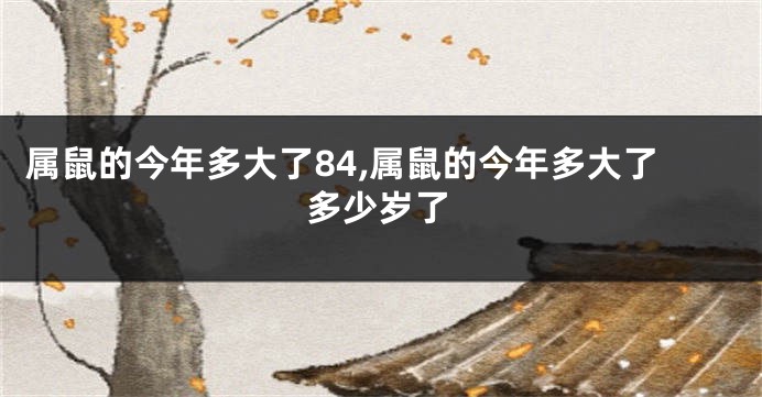 属鼠的今年多大了84,属鼠的今年多大了多少岁了