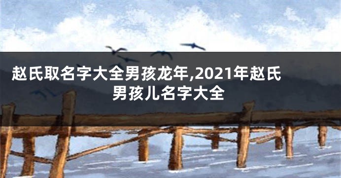 赵氏取名字大全男孩龙年,2021年赵氏男孩儿名字大全