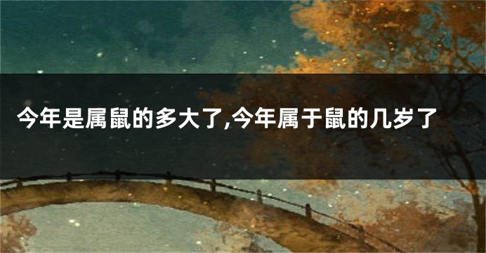 今年是属鼠的多大了,今年属于鼠的几岁了