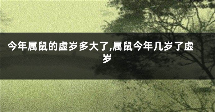 今年属鼠的虚岁多大了,属鼠今年几岁了虚岁