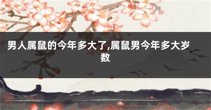男人属鼠的今年多大了,属鼠男今年多大岁数