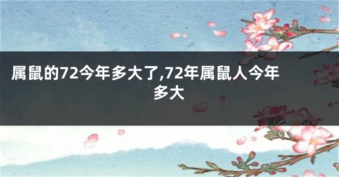 属鼠的72今年多大了,72年属鼠人今年多大