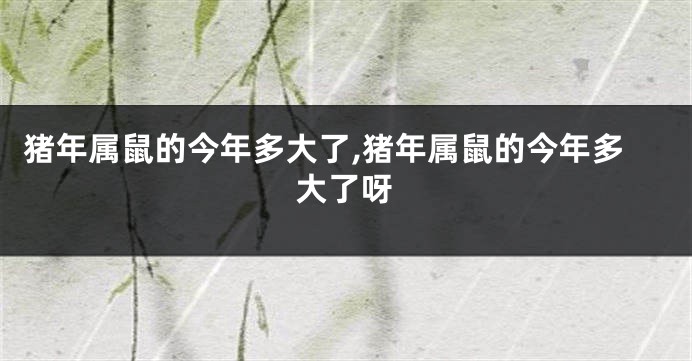 猪年属鼠的今年多大了,猪年属鼠的今年多大了呀