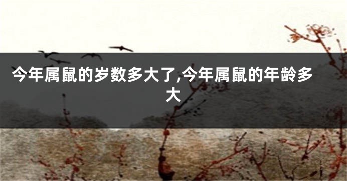 今年属鼠的岁数多大了,今年属鼠的年龄多大