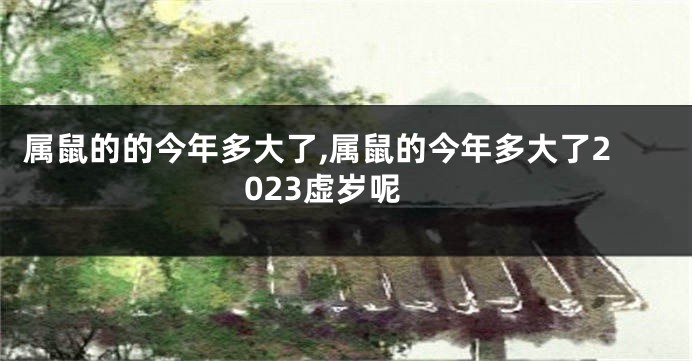属鼠的的今年多大了,属鼠的今年多大了2023虚岁呢