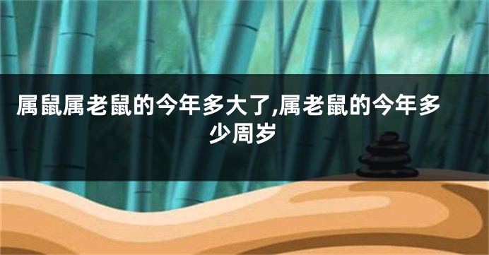 属鼠属老鼠的今年多大了,属老鼠的今年多少周岁