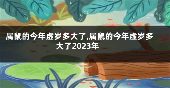 属鼠的今年虚岁多大了,属鼠的今年虚岁多大了2023年