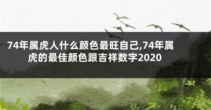 74年属虎人什么颜色最旺自己,74年属虎的最佳颜色跟吉祥数字2020