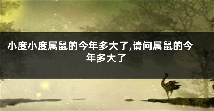 小度小度属鼠的今年多大了,请问属鼠的今年多大了