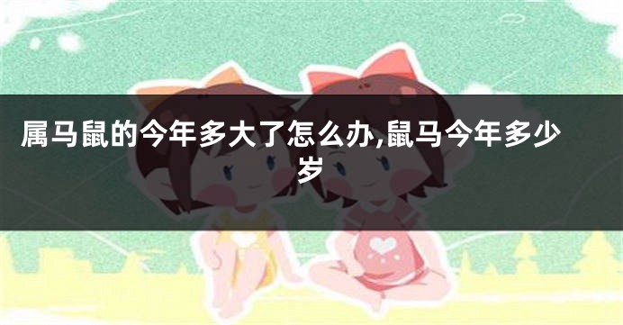 属马鼠的今年多大了怎么办,鼠马今年多少岁